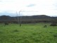 Part Kurrool, Wellington NSW 2820