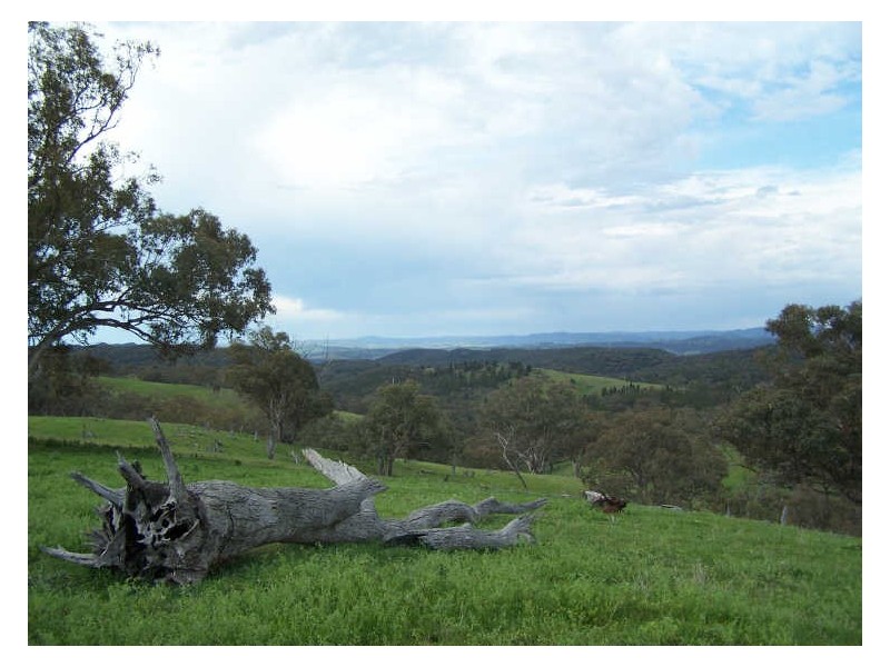 Part Kurrool, Wellington NSW 2820