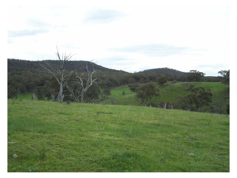Part Kurrool, Wellington NSW 2820