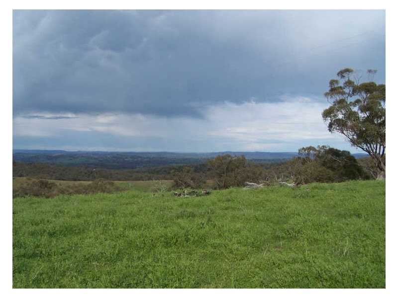 Part Kurrool, Wellington NSW 2820