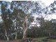 Part Kurrool, Wellington NSW 2820