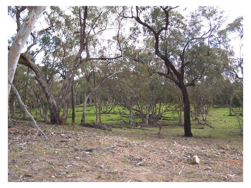 Part Kurrool, Wellington NSW 2820