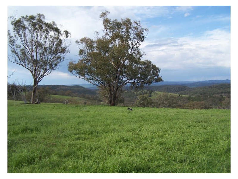 Block 2 Part Kurrool, Wellington NSW 2820