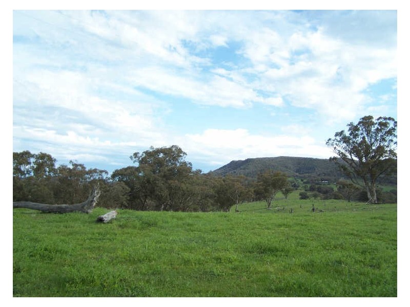 Block 2 Part Kurrool, Wellington NSW 2820