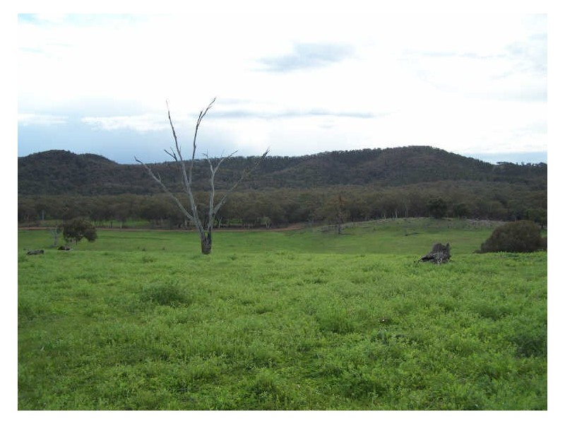 Block 2 Part Kurrool, Wellington NSW 2820