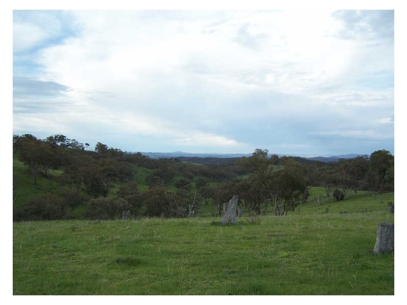 Block 2 Part Kurrool, Wellington NSW 2820