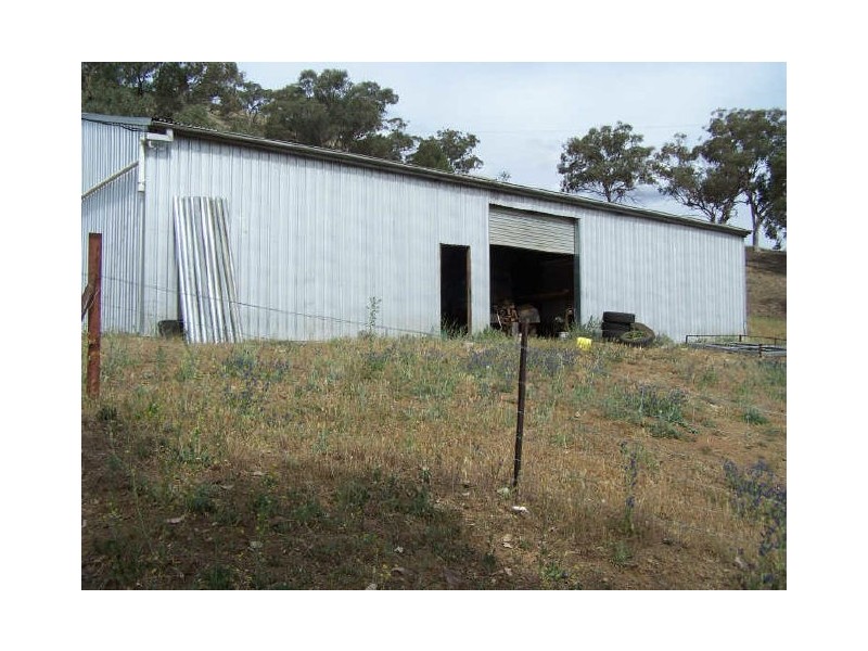 Neurea NSW 2820