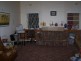 113 Gisborne Street, Wellington NSW 2820