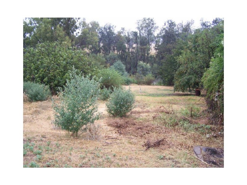 90 Gobolion Street, Wellington NSW 2820