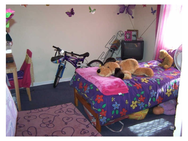 33 Arthur Street, Wellington NSW 2820