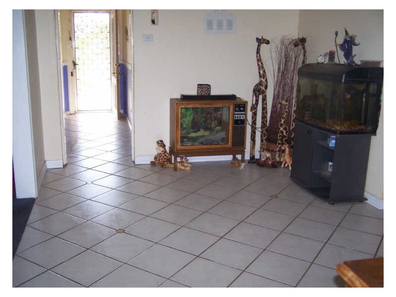 33 Arthur Street, Wellington NSW 2820