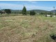 Wellington NSW 2820