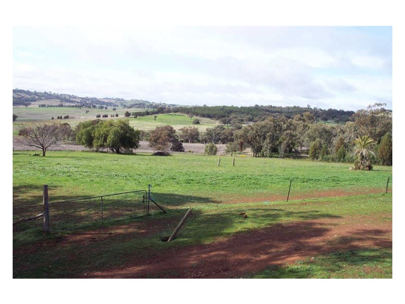 Shekinah, Dripstone Road, Wellington NSW 2820