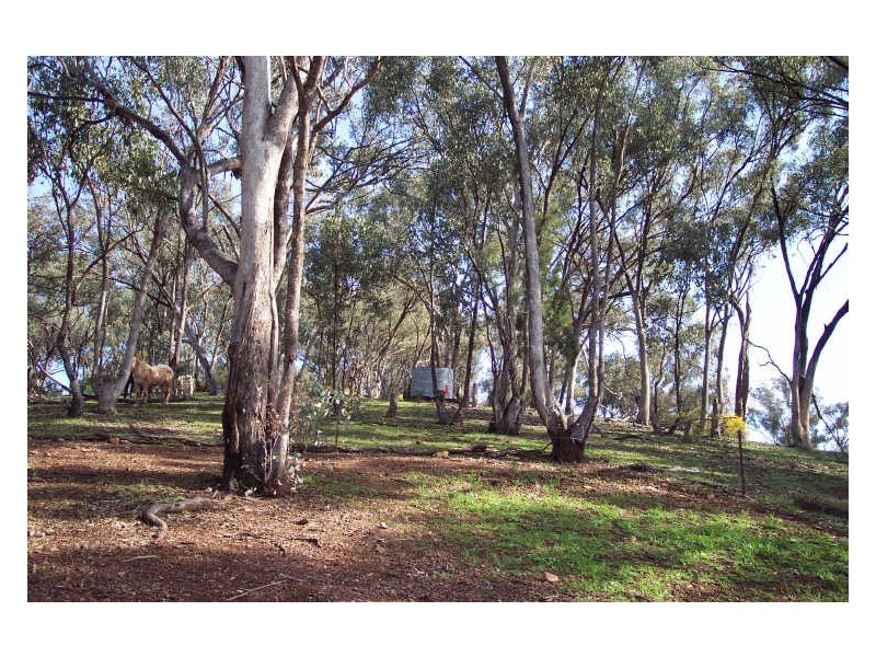 Shekinah, Dripstone Road, Wellington NSW 2820