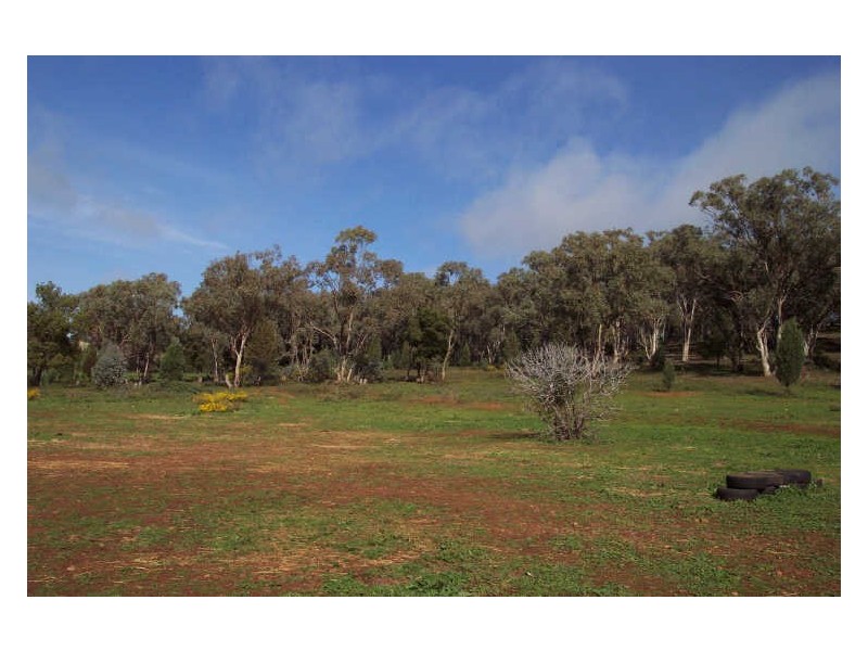 Shekinah, Dripstone Road, Wellington NSW 2820