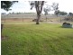 1198 Bodangora Road, Bodangora NSW 2820
