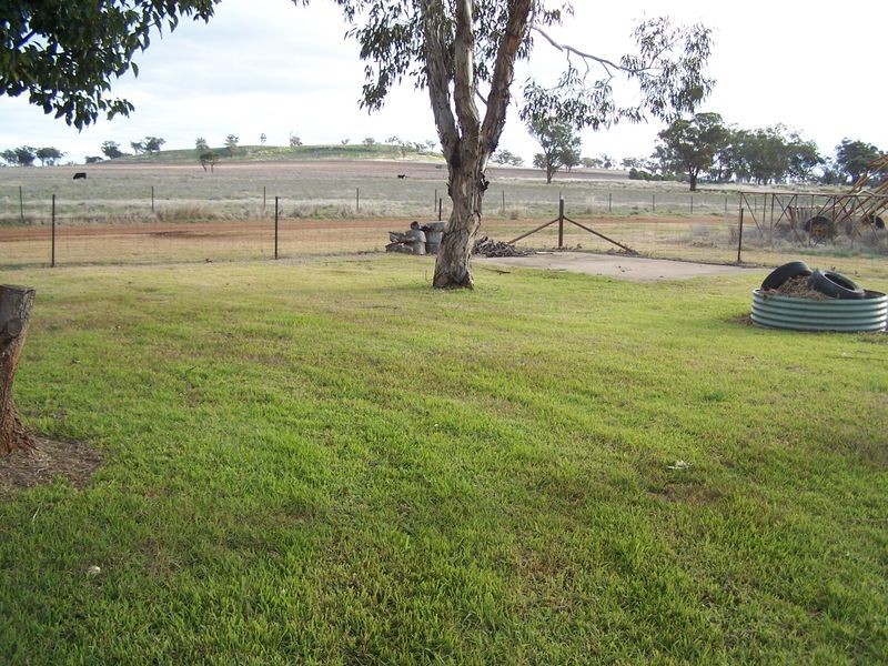 1198 Bodangora Road, Bodangora NSW 2820