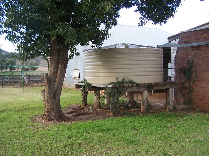 1198 Bodangora Road, Bodangora NSW 2820