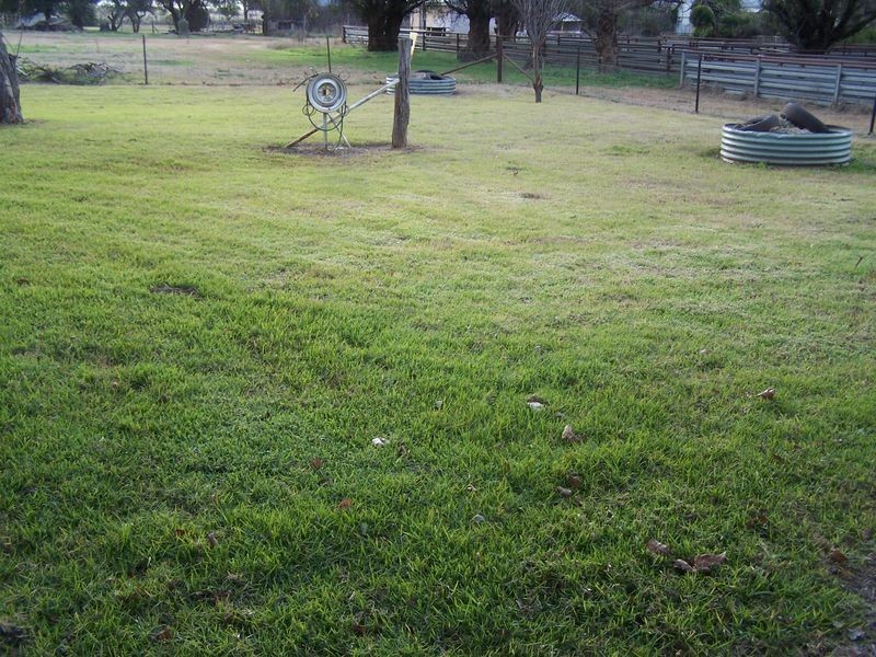 1198 Bodangora Road, Bodangora NSW 2820