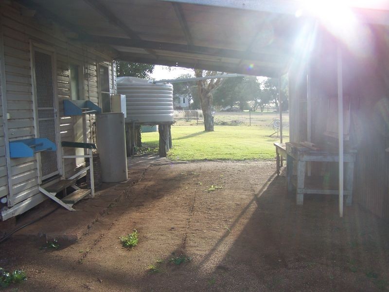 1198 Bodangora Road, Bodangora NSW 2820