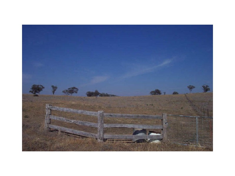 Mumbil NSW 2820