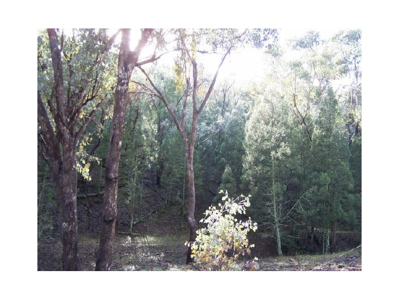 Emu Hills,, Wellington NSW 2820