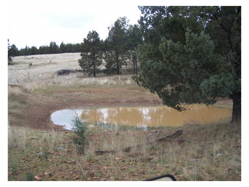 153 Little River Road  Arthurville, Wellington NSW 2820