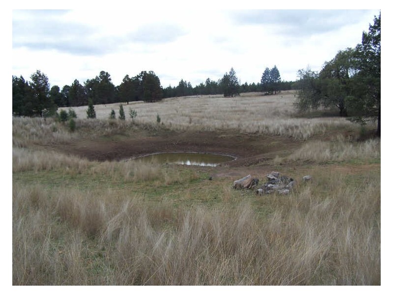 153 Little River Road  Arthurville, Wellington NSW 2820