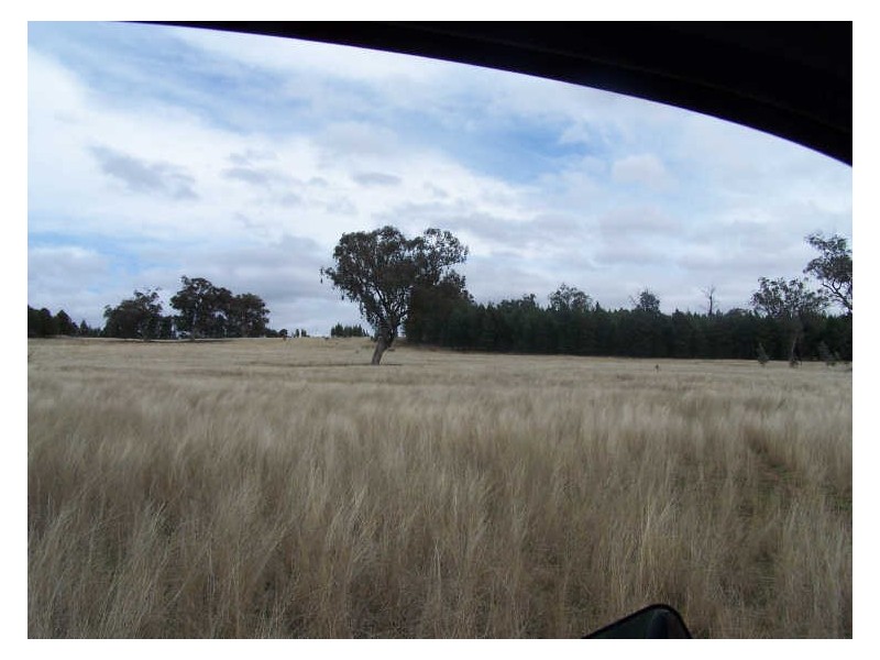 153 Little River Road  Arthurville, Wellington NSW 2820