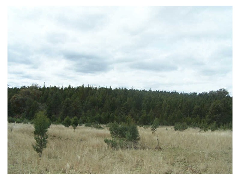 153 Little River Road  Arthurville, Wellington NSW 2820