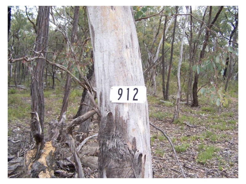 912 Mount Aquilla Road, Stuart Town NSW 2820