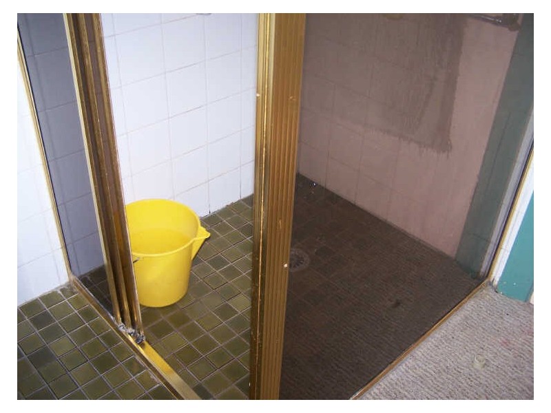 29 Zouch Street, Wellington NSW 2820