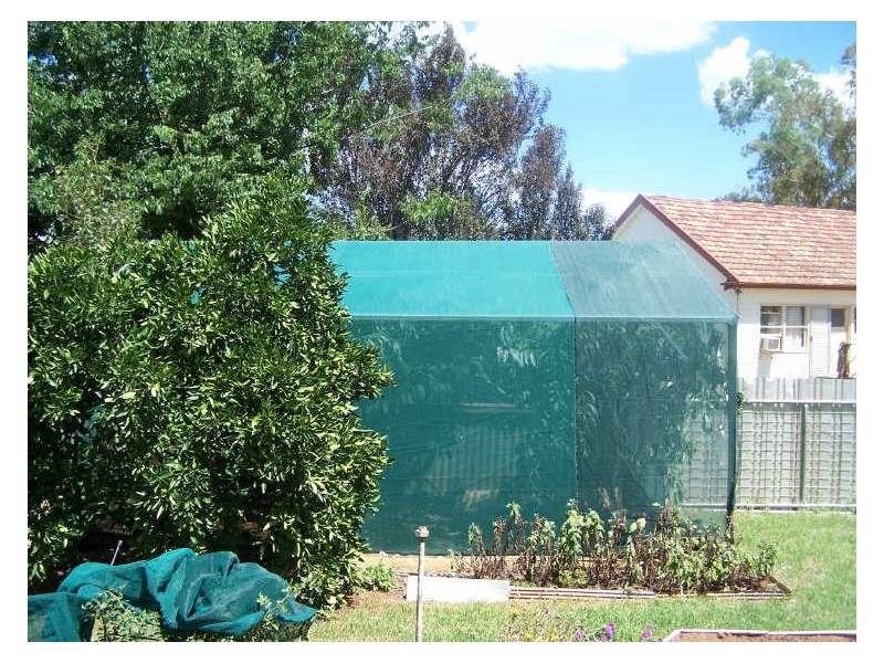 29 Zouch Street, Wellington NSW 2820