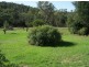 Lots 170 & Evans Lane, Wellington NSW 2820