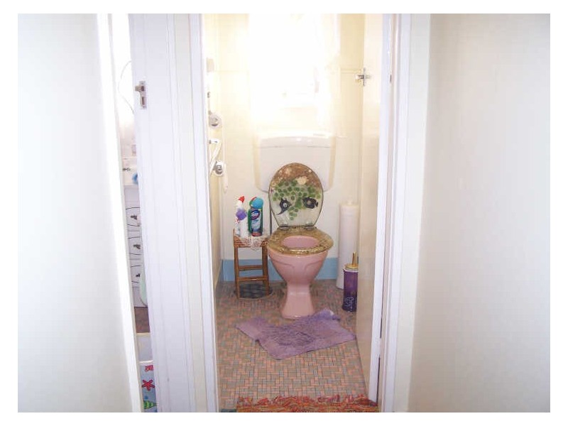 115 Warne Street, Wellington NSW 2820