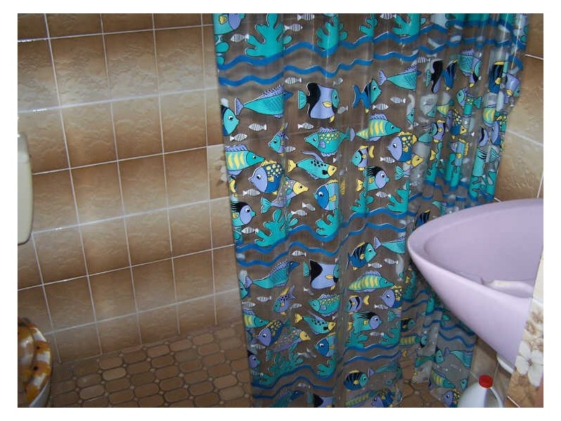 115 Warne Street, Wellington NSW 2820