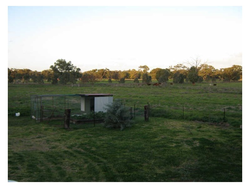 26 Hill Street, Geurie NSW 2831