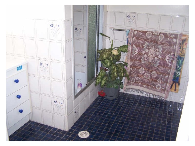 148 Maughan Street, Wellington NSW 2820
