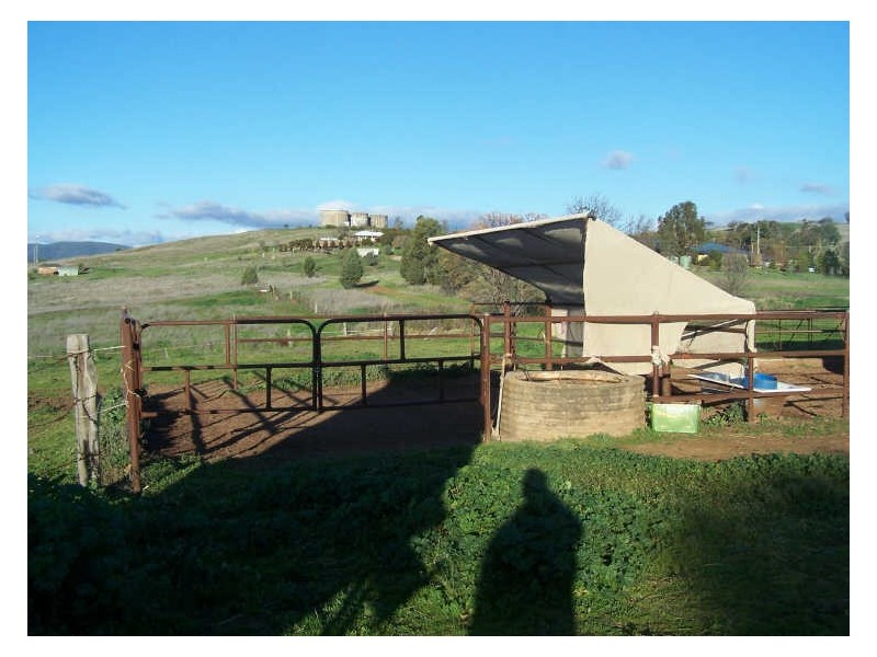 148 Maughan Street, Wellington NSW 2820