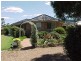 Wellington NSW 2820