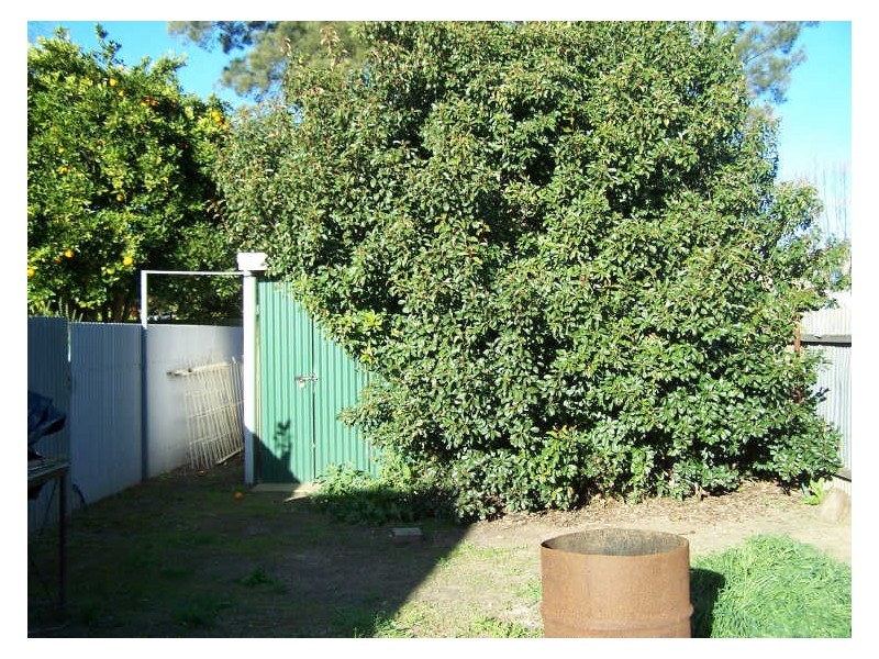 11 Gisborne Street, Wellington NSW 2820