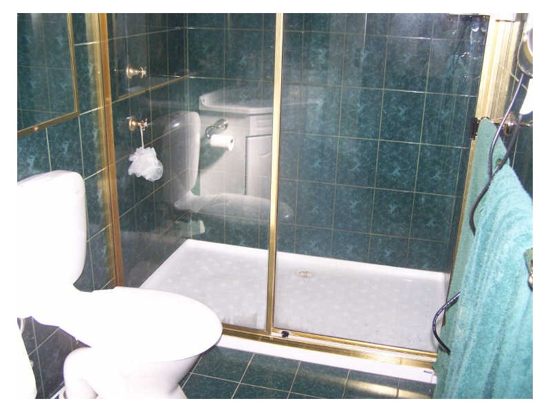 119 Arthur Street, Wellington NSW 2820