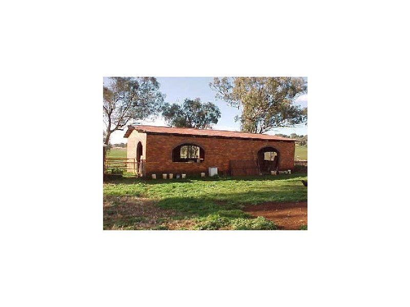 9239 Mitchell Highway, Wellington NSW 2820