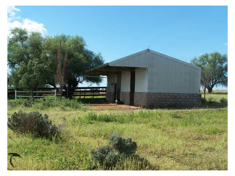 19 Church St, Lot 110,  Lots 1 & 3, Bodangora NSW 2820