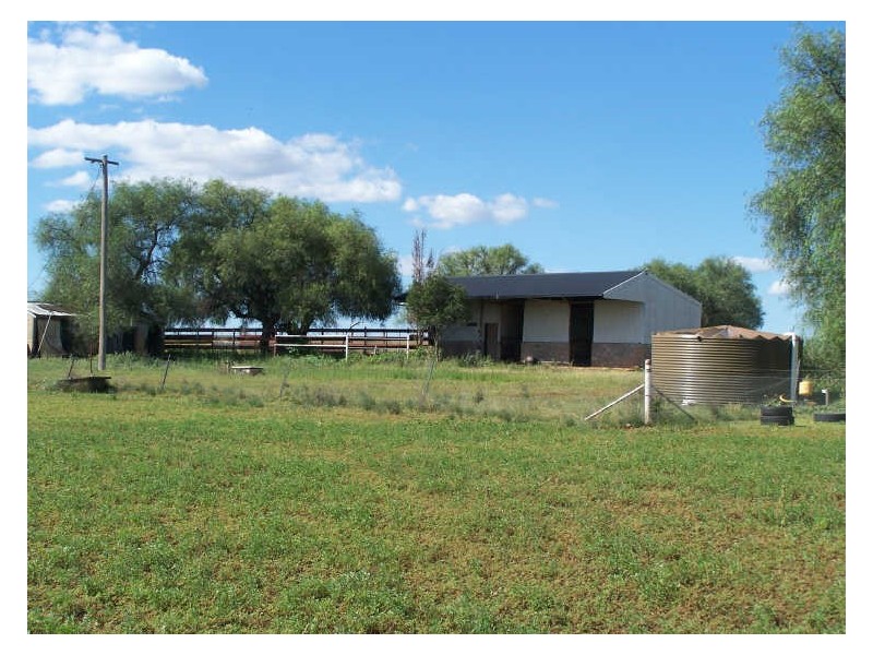 19 Church St, Lot 110,  Lots 1 & 3, Bodangora NSW 2820