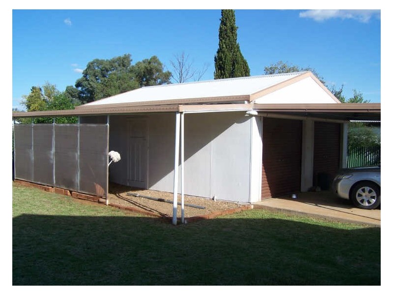 144 Arthur Street, Wellington NSW 2820