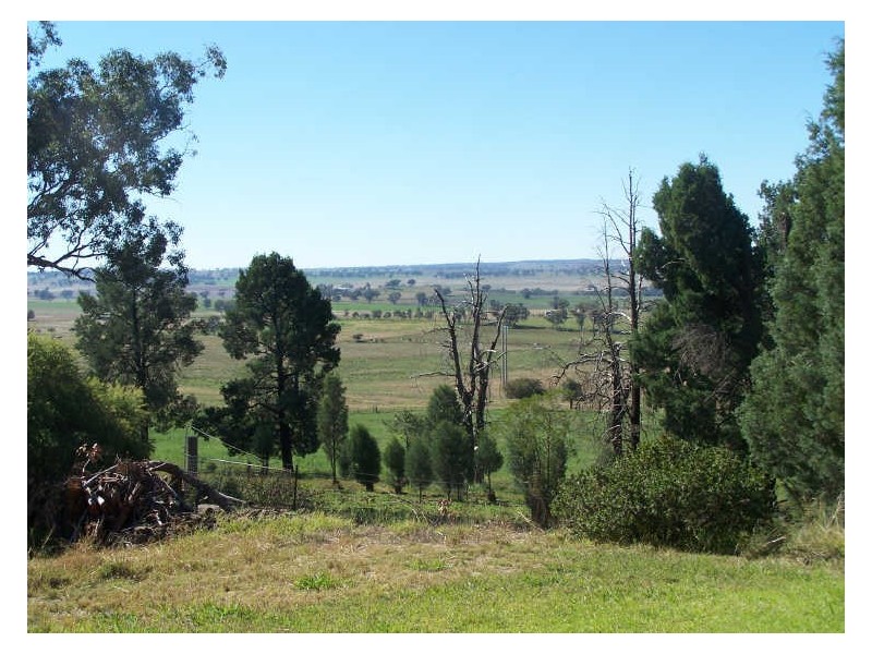 Warragunyah 309 Whiteley’s Lane, Wellington NSW 2820