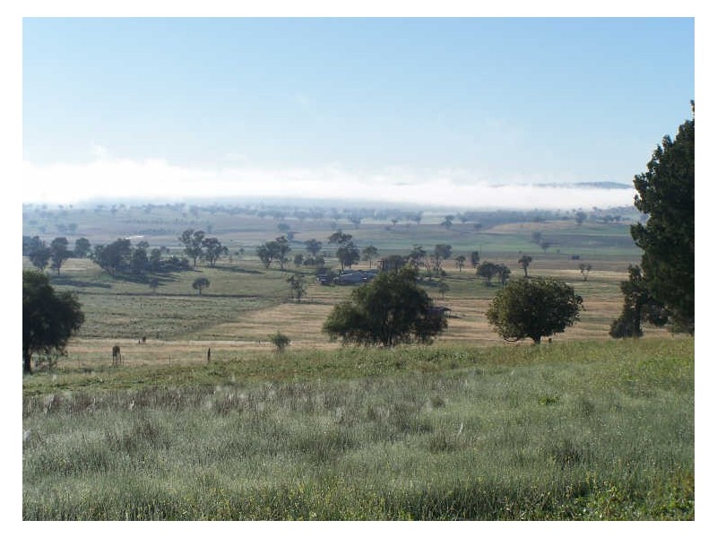 Lot 20 Whiteley’s Lane Maryvale, Wellington NSW 2820