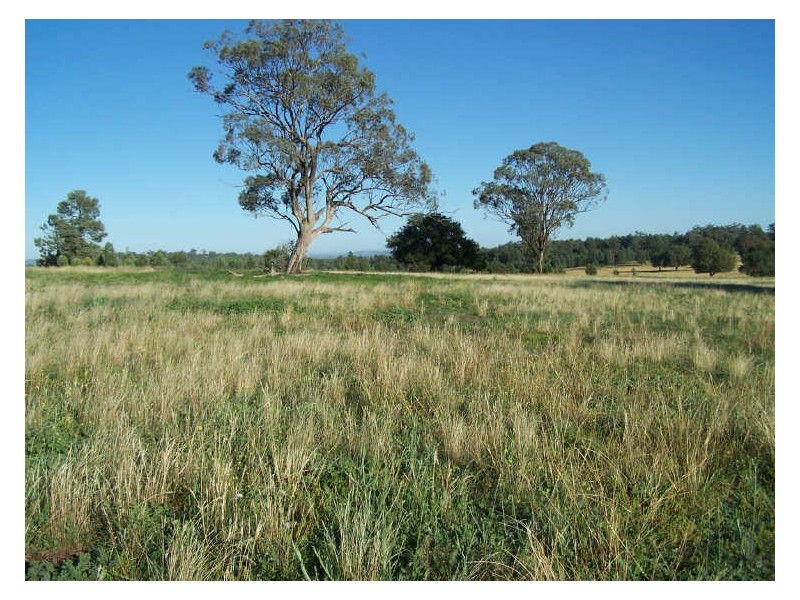 Lot 20 Whiteley’s Lane Maryvale, Wellington NSW 2820