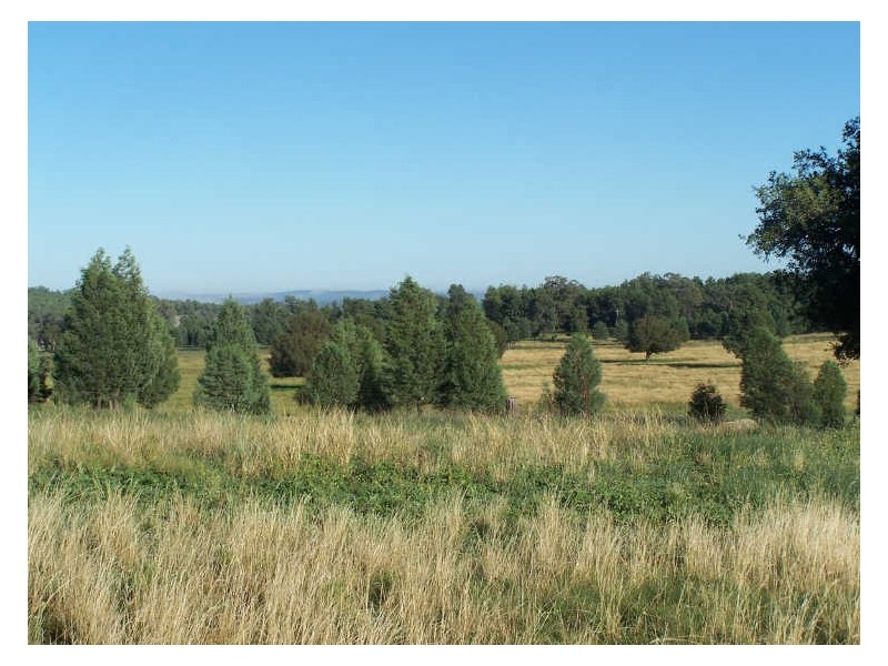 Lot 20 Whiteley’s Lane Maryvale, Wellington NSW 2820